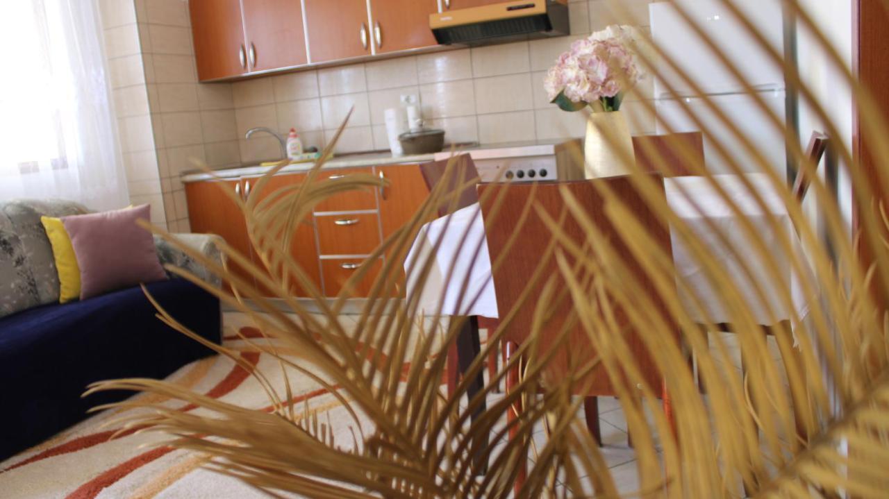 Bledi'S Cozy Apartment In New Blvd ティラナ エクステリア 写真